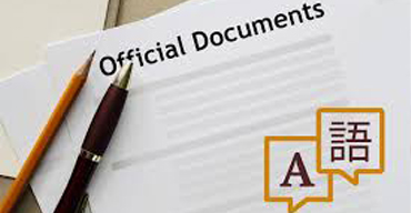 Government Liaison Services